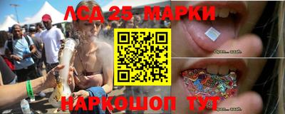 молекула духа Новозыбков