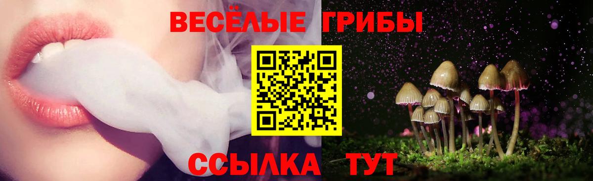 Серпухов  Галлюциногенные грибы ЛСД  Псилоцибиновые грибы мицелий  Вход с VPN 